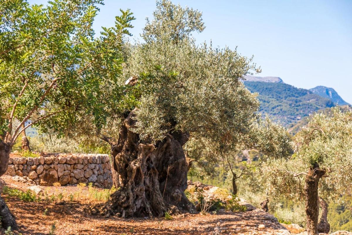 Villa Es Pujol Sóller Exterior foto